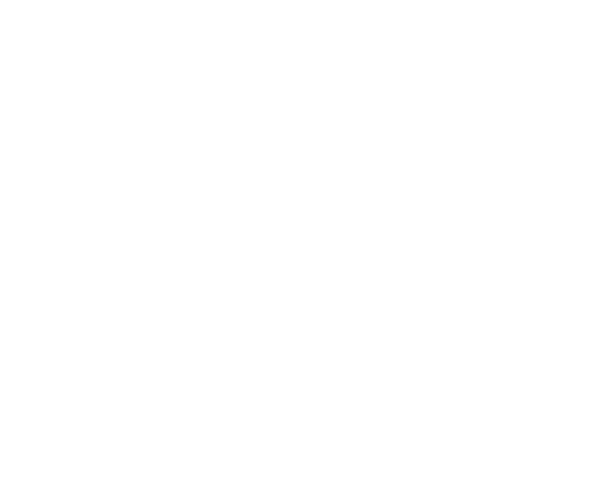 Vodka Wodka